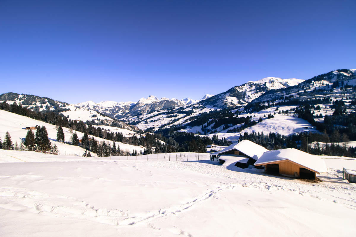 Gstaad Saanenland Youth Hostel