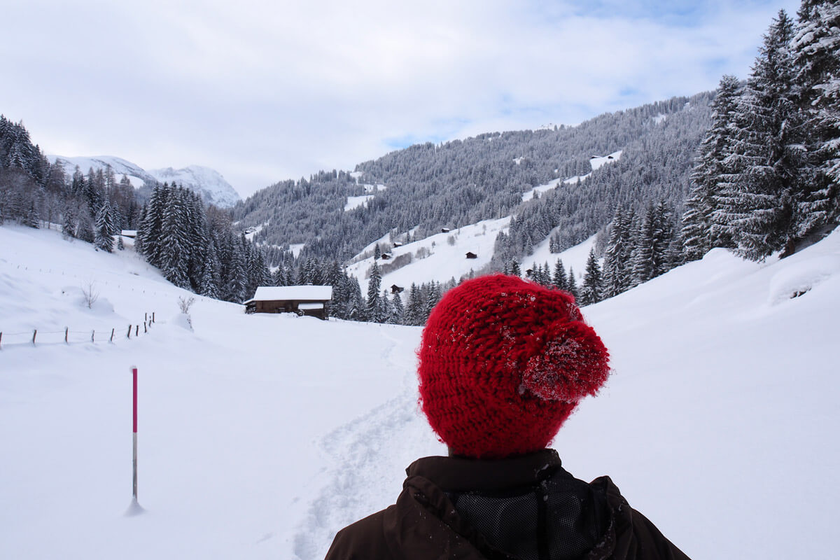Lenkerhof Hotel Spa - Snowshow Hiking