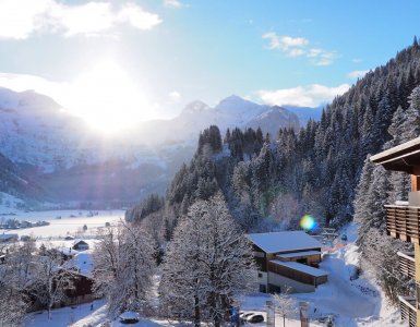 Lenkerhof Hotel Spa in Lenk