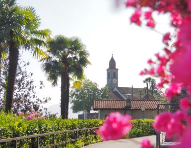 Springtime in Ascona Locarno - Church with Flowers