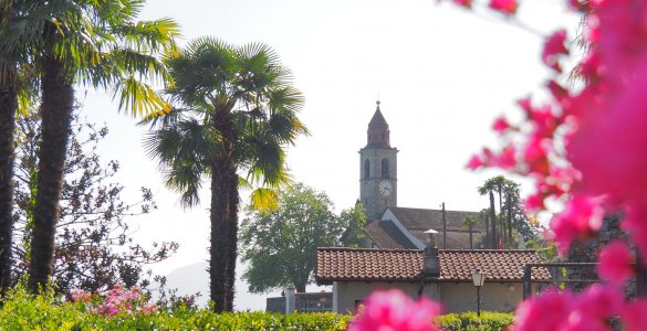 Springtime in Ascona Locarno - Church with Flowers