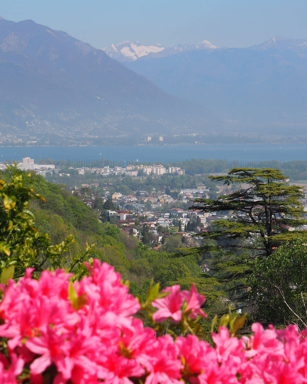 The view from Hotel Villa Orselina in Switzerland