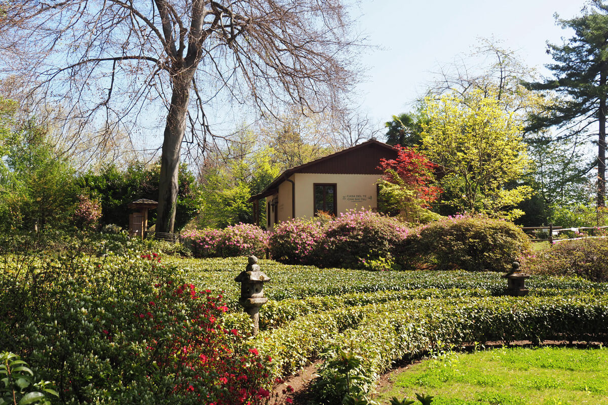 Casa del Te Ascona