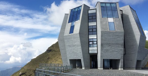 Monte Generoso Ticino - Fiore di Petra