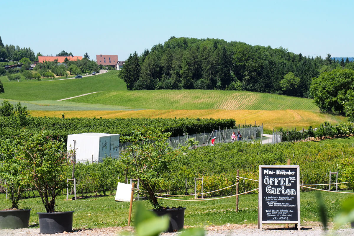 Jucker Farm Seegräben