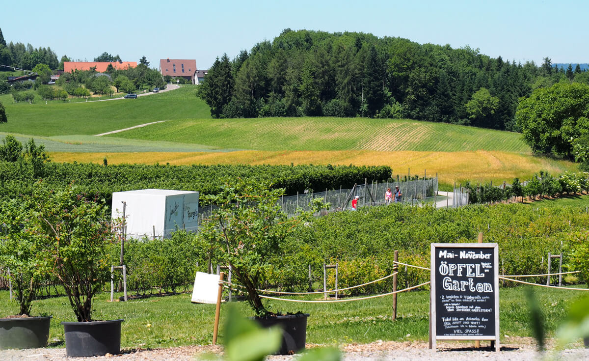 Jucker Farm Seegräben