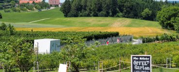 Jucker Farm Seegräben