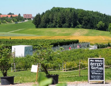 Jucker Farm Seegräben