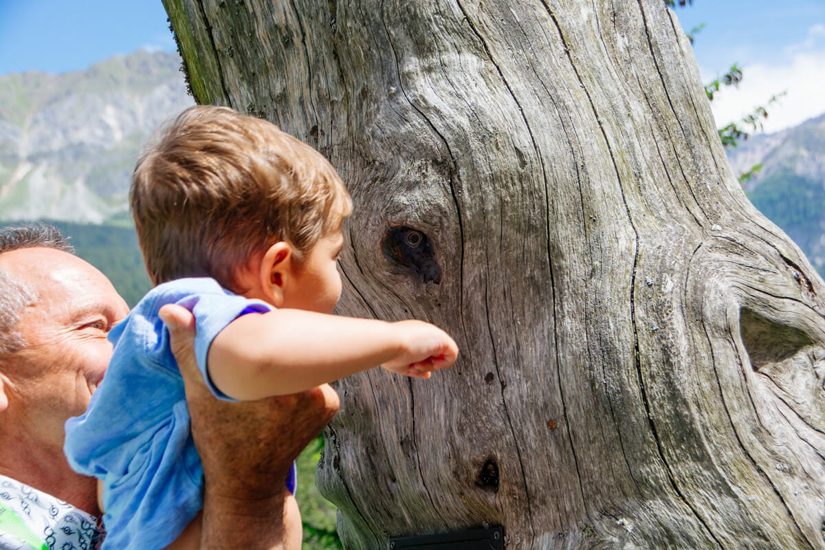 Lenzerheide Family Friendly Summer Weekend