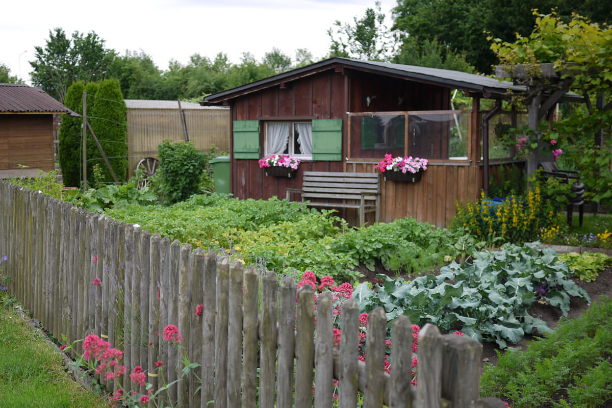 Schrebergarten in Switzerland