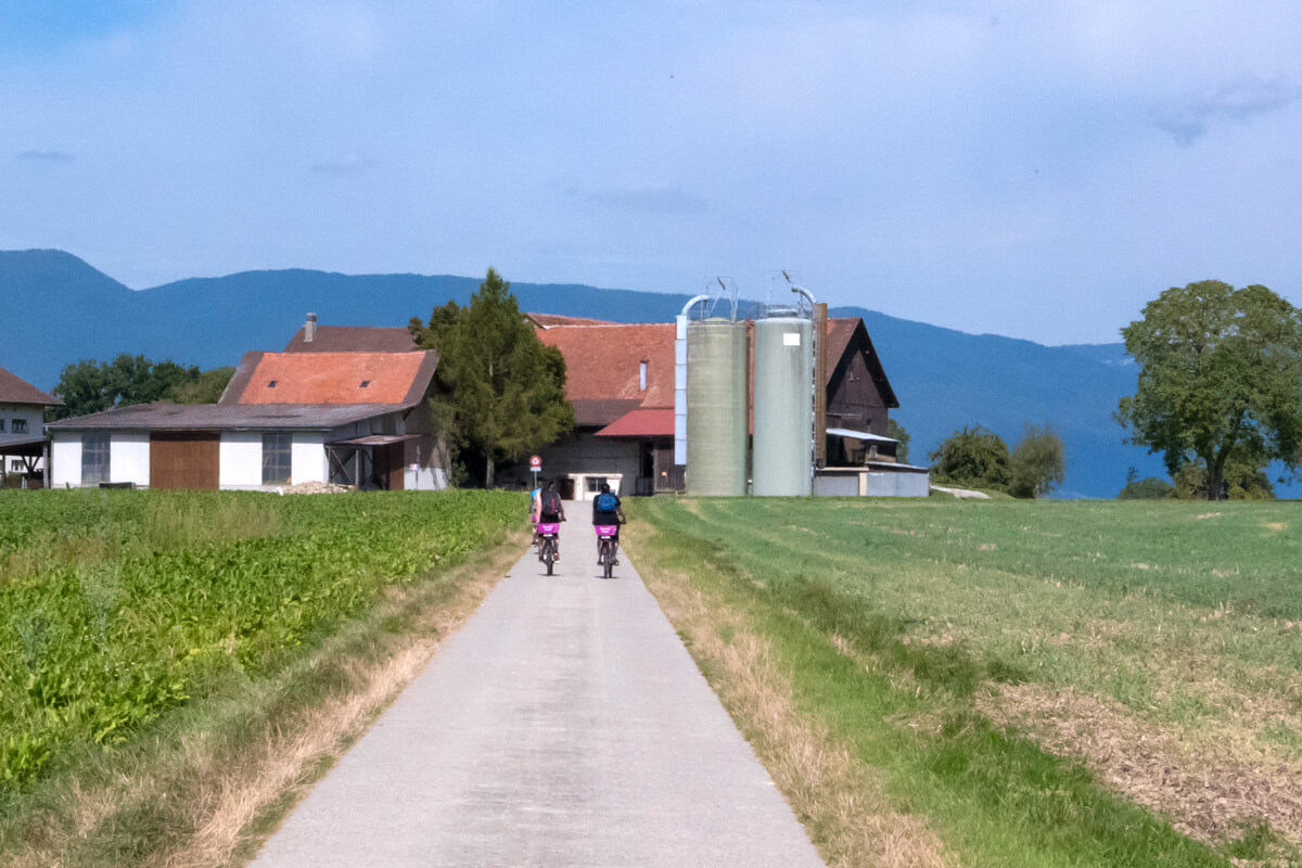 Vaud e-bike Tour - Payerne