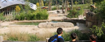 Zoo Zurich with Kids
