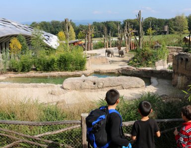 Zoo Zurich with Kids