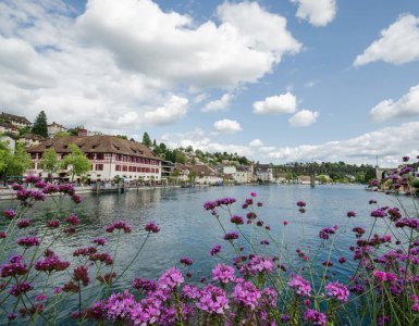 Perfect Summer Weekend in Schaffhausen