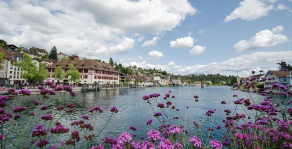 Perfect Summer Weekend in Schaffhausen