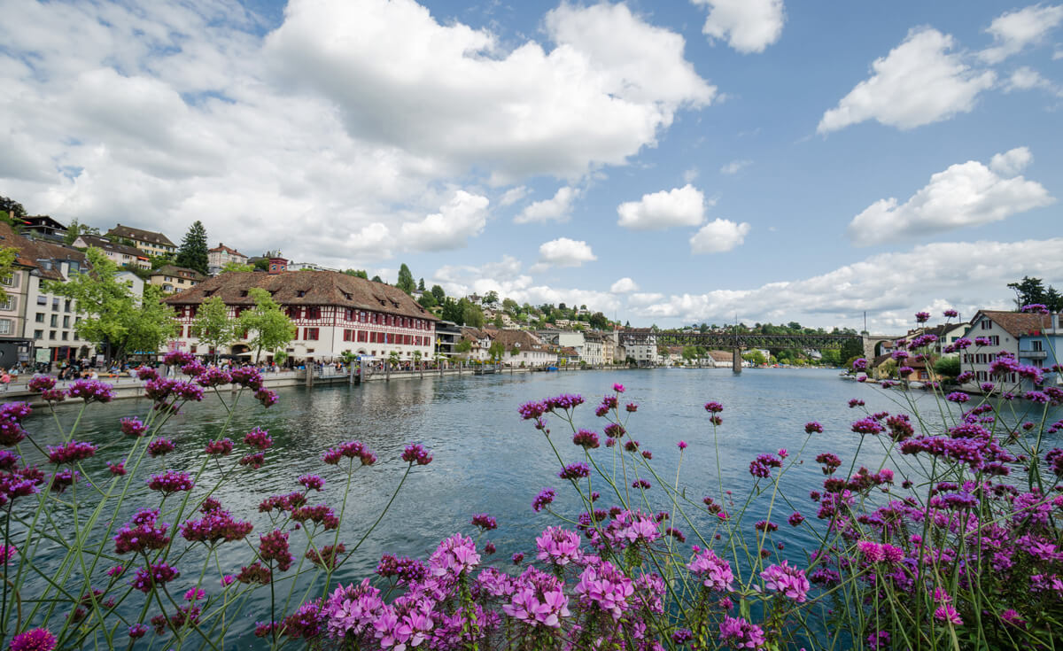 Perfect Summer Weekend in Schaffhausen