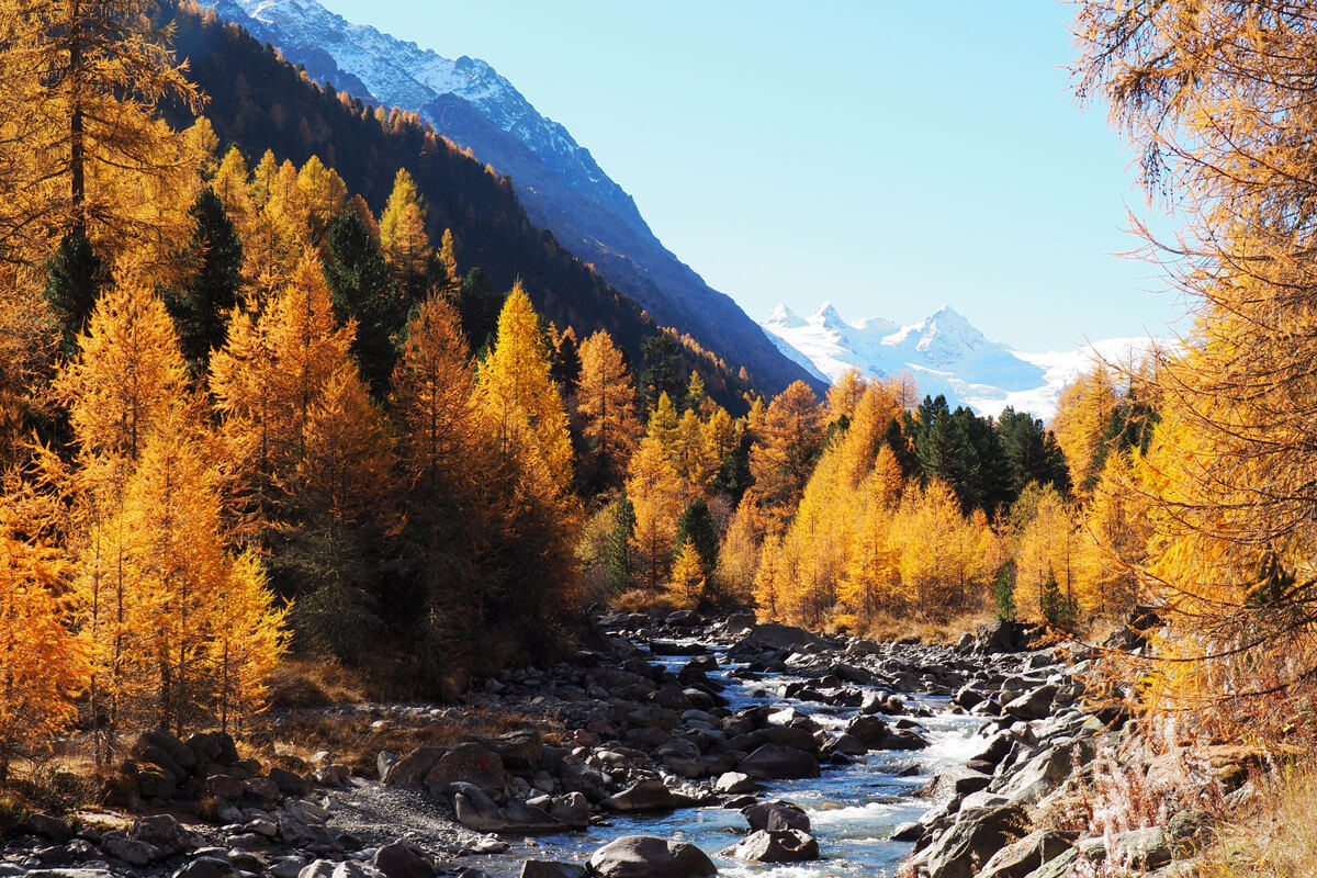 Indian Summer in Engadine, Switzerland