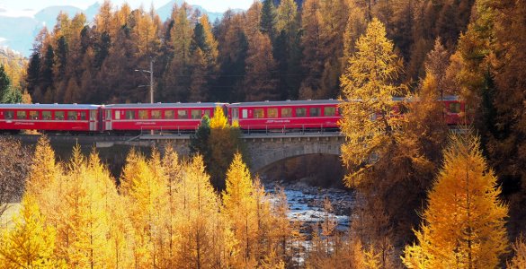 Indian Summer in Engadine, Switzerland