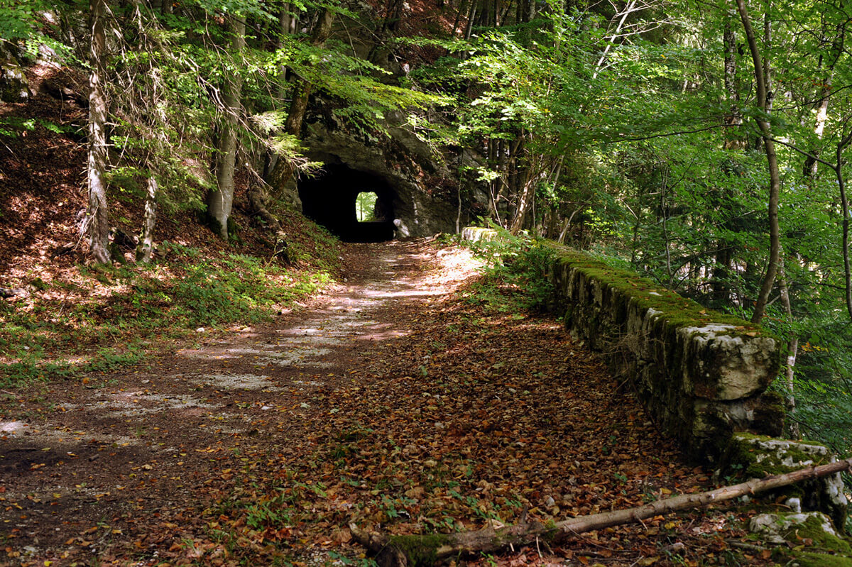 Taubenlochschlucht Biel