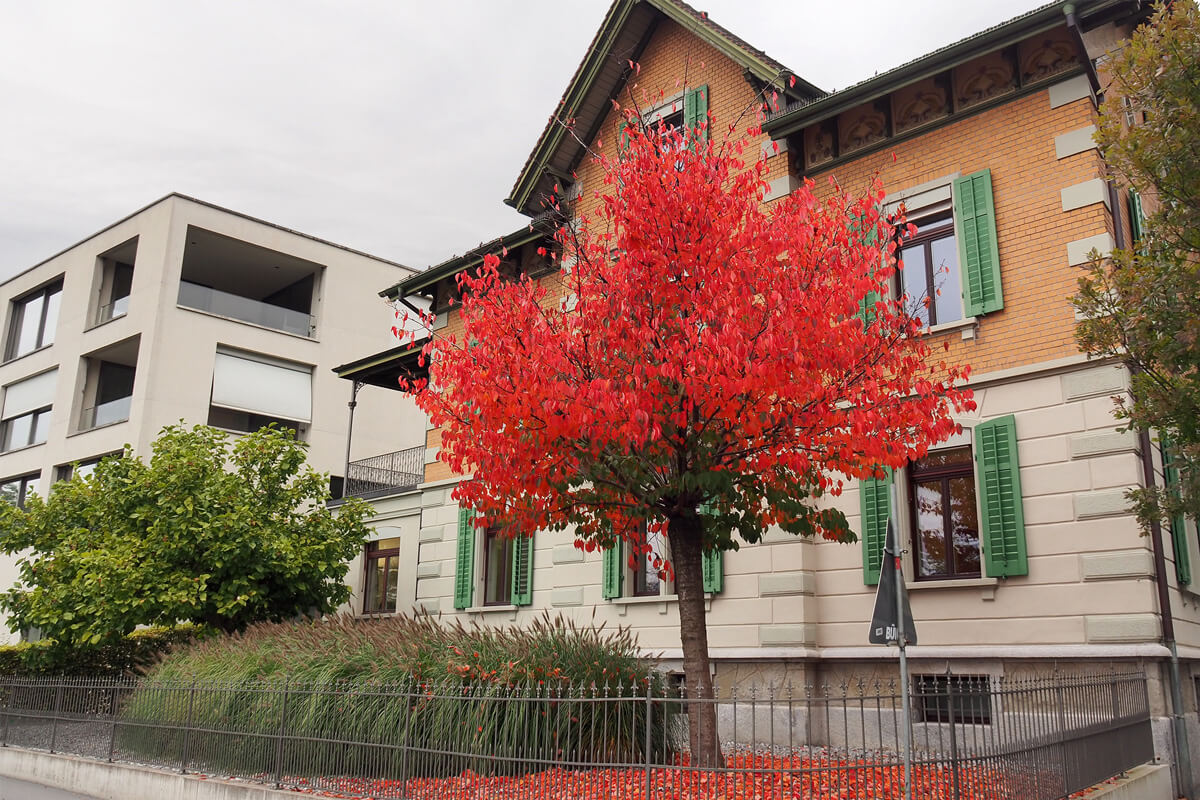 Zug Old Town, Switzerland