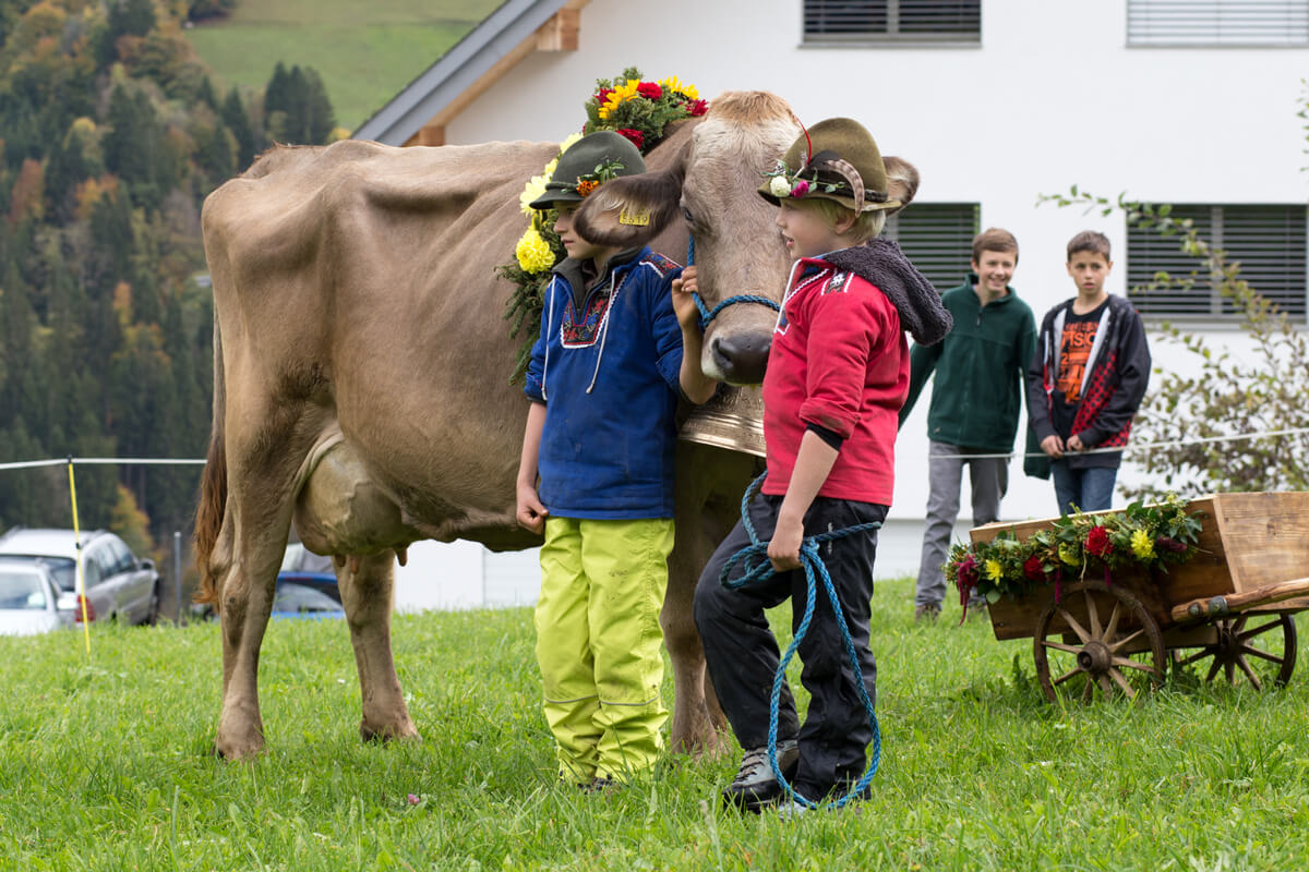 Alp Spektakel Prättigau