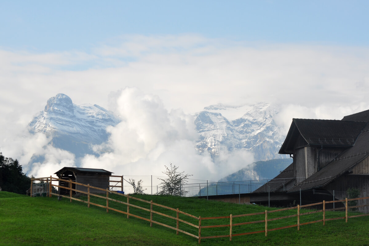 Swiss Holiday Park Hotel