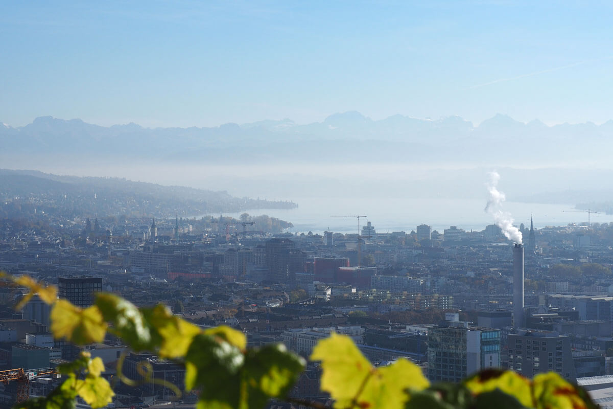 Zürich is a runner's paradise