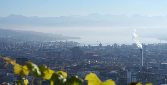Zürich is a runner's paradise