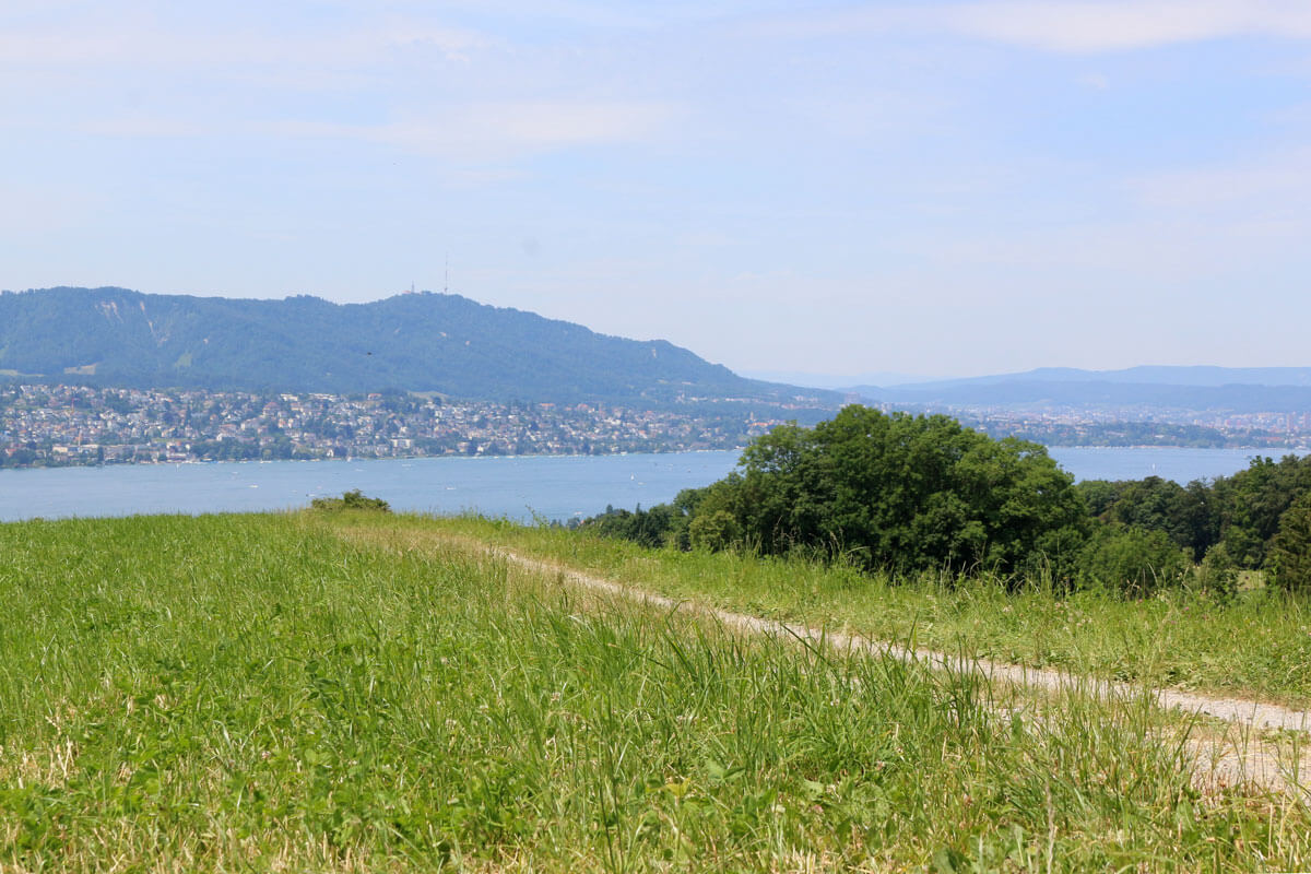 Zürich is a runner's paradise