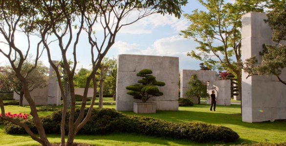 Enea Tree Museum in Rapperswil