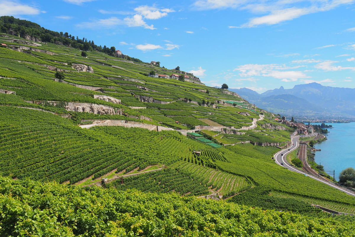 Lavaux Vineyards at Lake Geneva, Switzerland