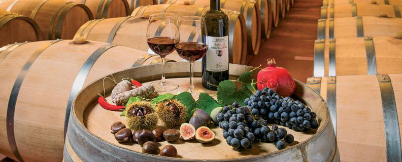 Open Wine Cellar Days Ticino