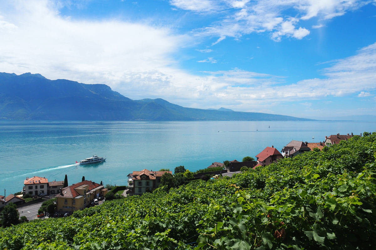 Lavaux Wine Hike in Switzerland