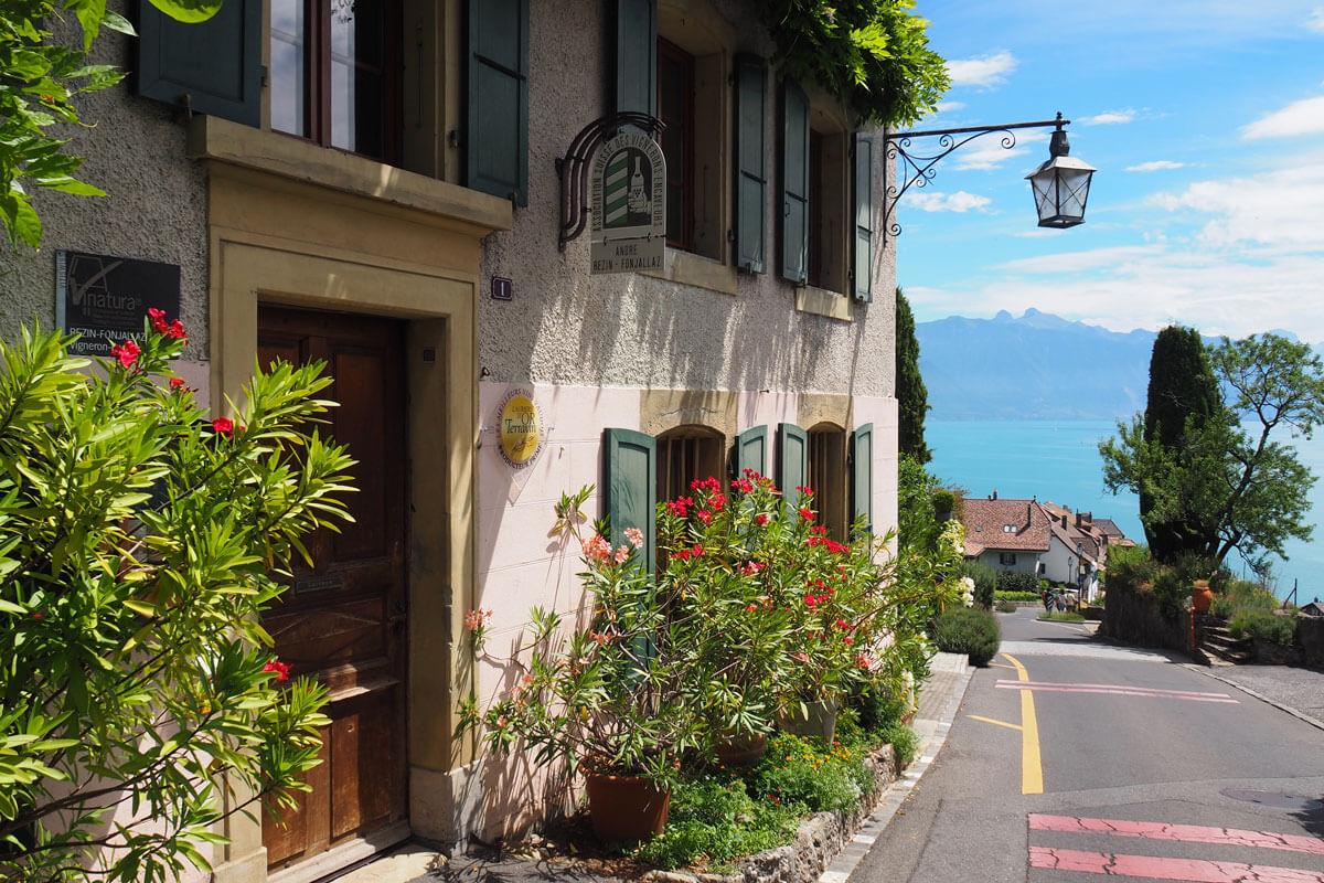 Lavaux Wine Hike in Switzerland