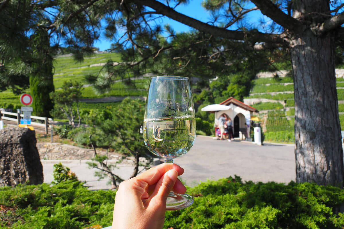 Lavaux Wine Hike in Switzerland