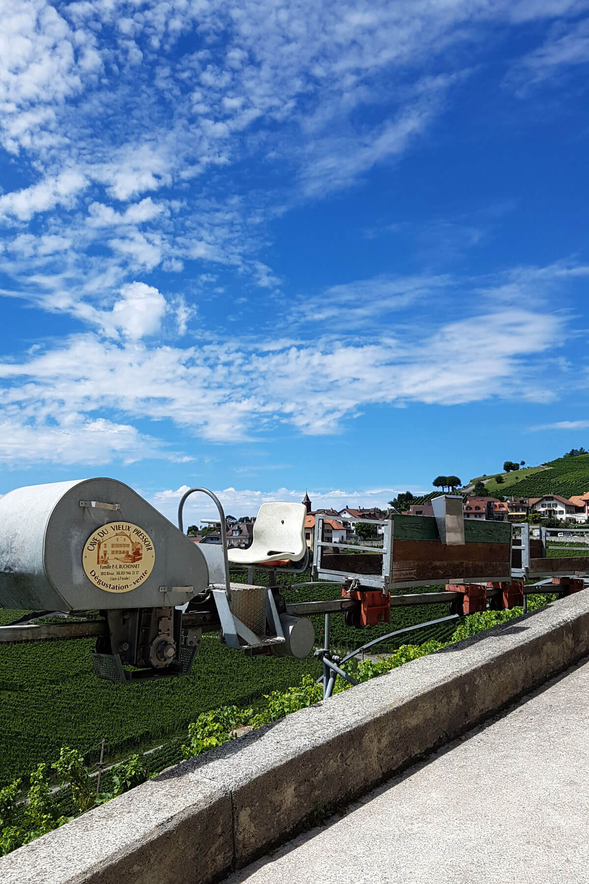 Lavaux Wine Hike in Switzerland