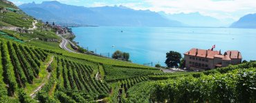 Lavaux Wine Hike in Switzerland