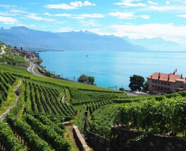 Lavaux Wine Hike in Switzerland