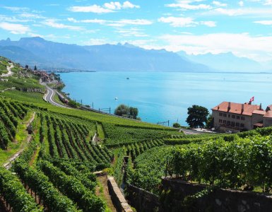 Lavaux Wine Hike in Switzerland