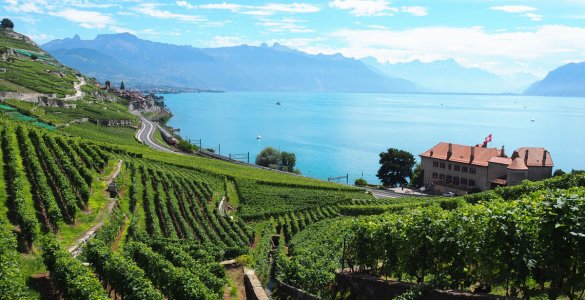 Lavaux Wine Hike in Switzerland