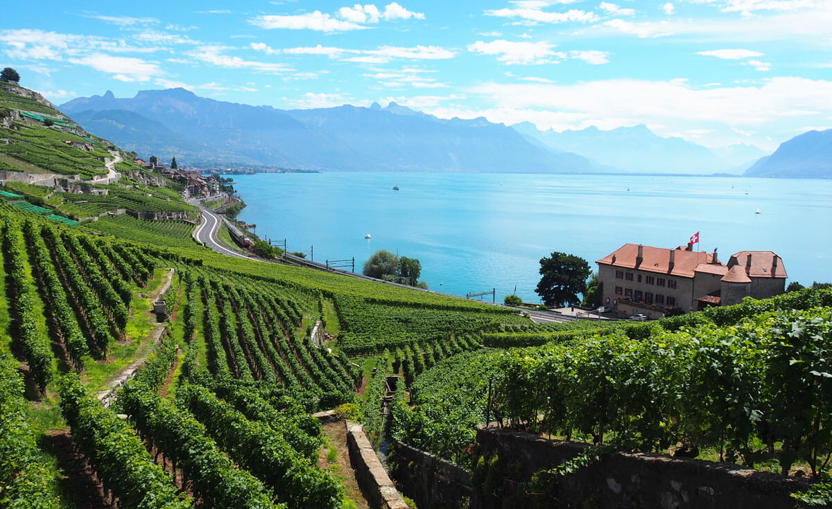 Lavaux Wine Hike in Switzerland