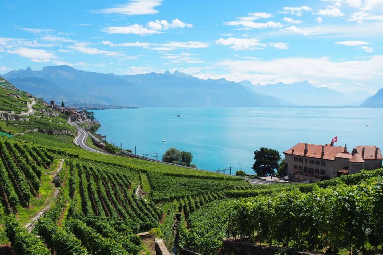 How to hike the Swiss Wine Trail in Lavaux (and taste it, too) Newly
