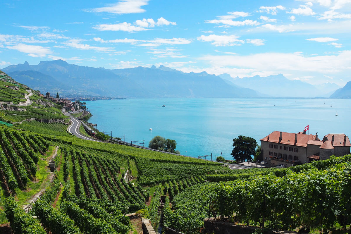 Lavaux Wine Hike in Switzerland