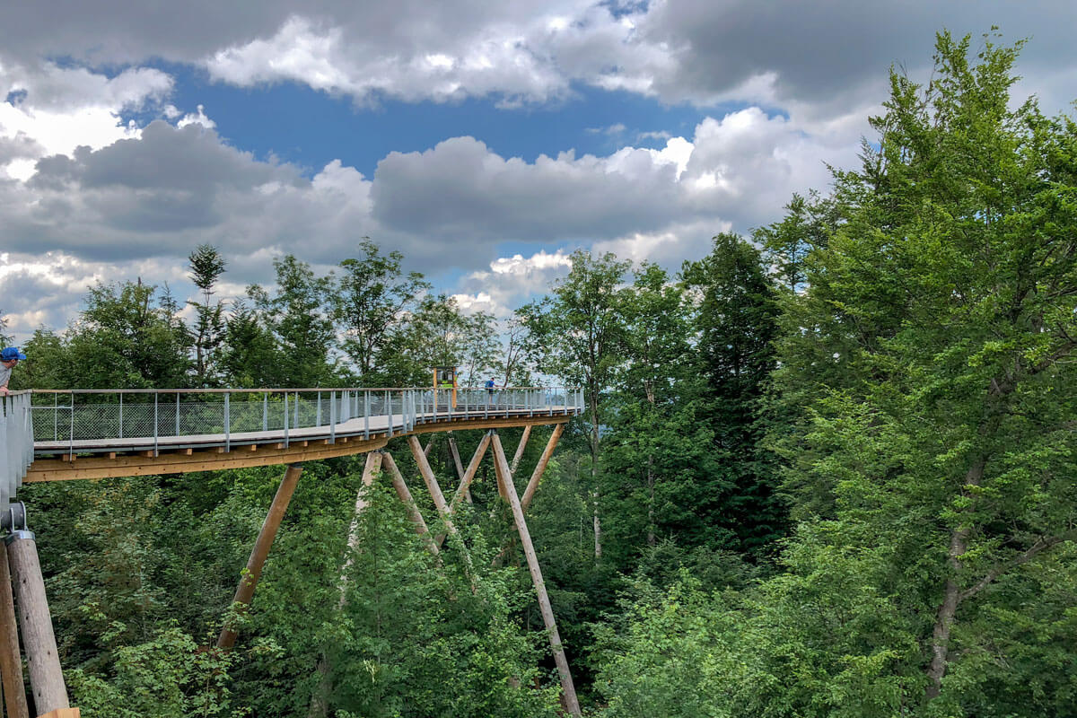 Switzerland Forest Canopy Walkway