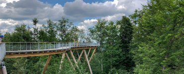 Switzerland Forest Canopy Walkway
