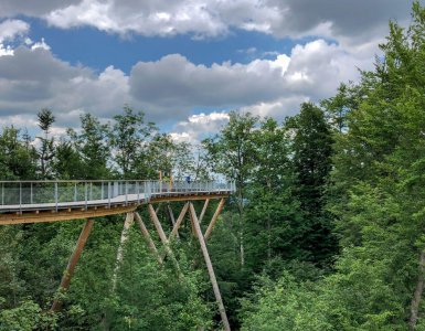 Switzerland Forest Canopy Walkway