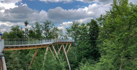 Switzerland Forest Canopy Walkway