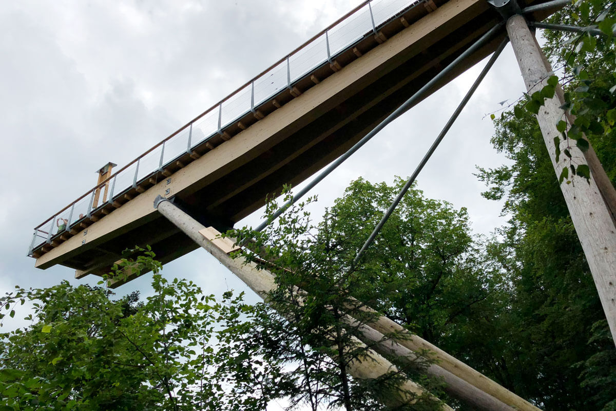 Switzerland Forest Canopy Walkway