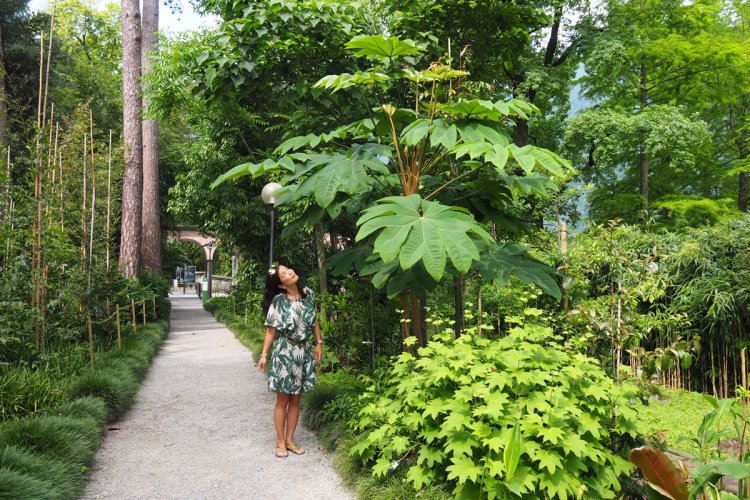 ultimate-visitor-s-guide-to-the-brissago-islands-in-ticino-newly