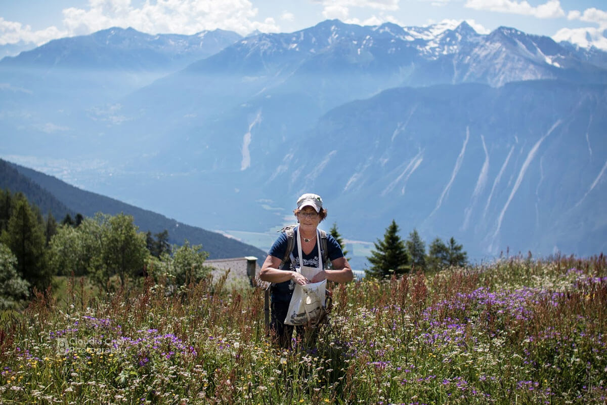 Crans-Montana Summer - Herbs